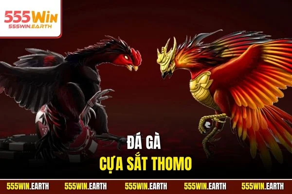 Đá Gà Cựa Sắt Thomo