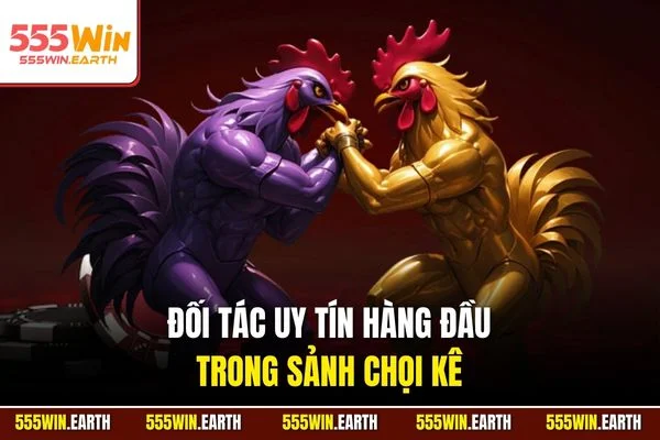 Đối tác uy tín hàng đầu trong sảnh chọi kê