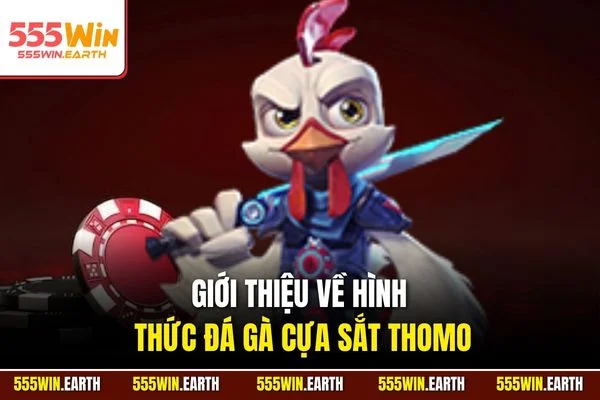 Giới thiệu về hình thức đá gà cựa sắt Thomo