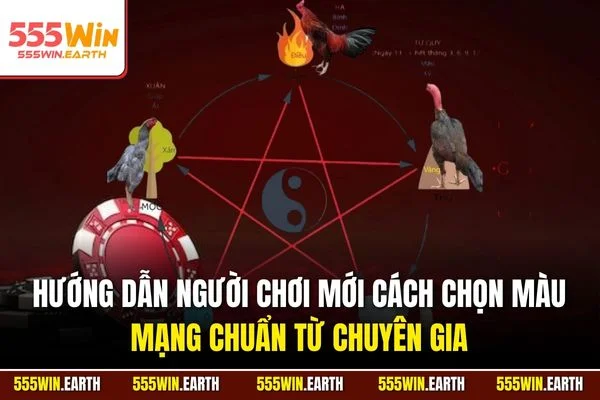 Hướng dẫn người chơi mới cách chọn màu mạng chuẩn từ chuyên gia