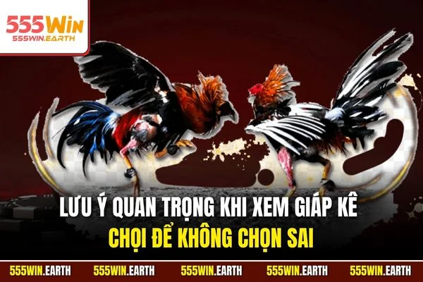Lưu ý quan trọng khi xem giáp kê chọi để không chọn sai