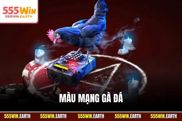 Màu Mạng Gà Đá