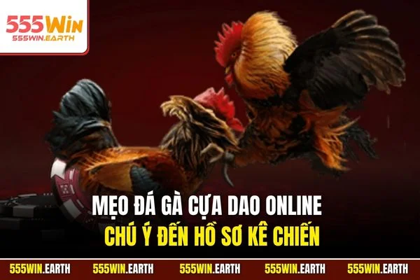 Mẹo đá gà cựa dao online - Chú ý đến hồ sơ kê chiến