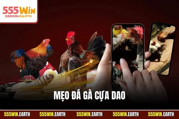 Mẹo Đá Gà Cựa Dao