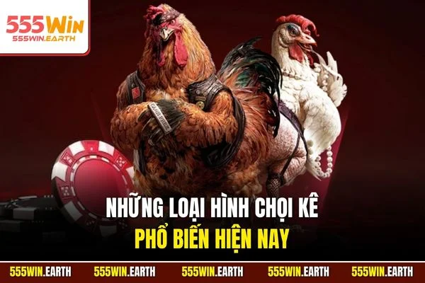 Những loại hình chọi kê phổ biến hiện nay