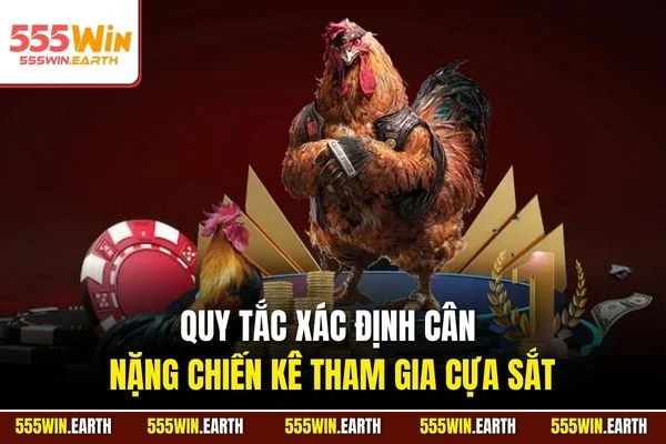 Quy tắc xác định cân nặng chiến kê tham gia cựa sắt