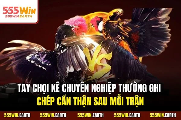 Tay chọi kê chuyên nghiệp thường ghi chép cẩn thận sau mỗi trận