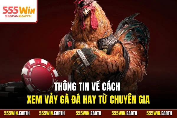 Thông tin về cách xem vảy gà đá hay từ chuyên gia